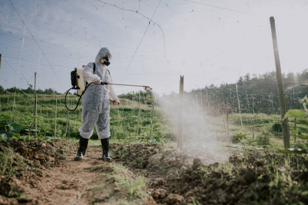 Best Best Pest Control Companies  in Yountville, CA