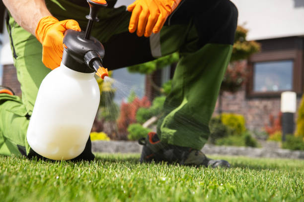 Best Wildlife Control Services  in Yountville, CA