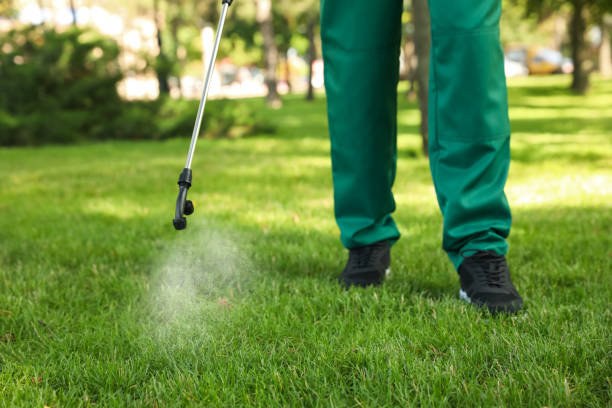 Best Pest Control Near Me  in Yountville, CA
