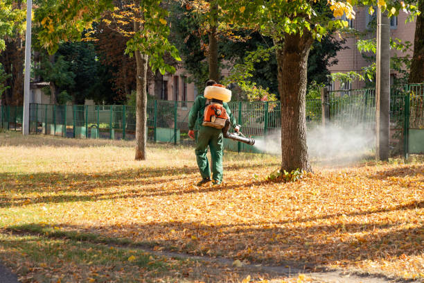 Best Bed Bug Extermination  in Yountville, CA