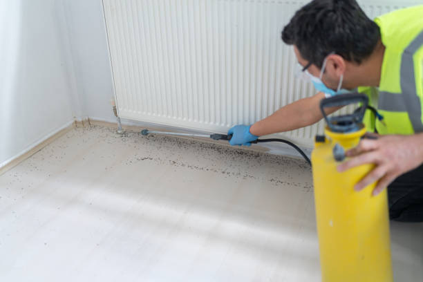 Best Flea Control Services  in Yountville, CA