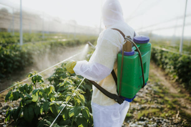 Reliable Yountville, CA Pest Control Solutions